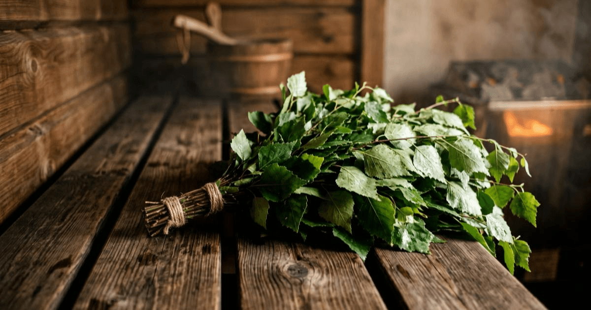 A freshly tied birch vihta resting on a sauna bench, leaves fanned out